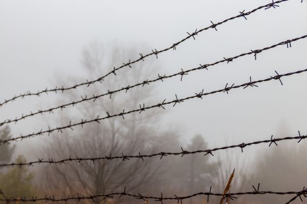 Wire Fencing