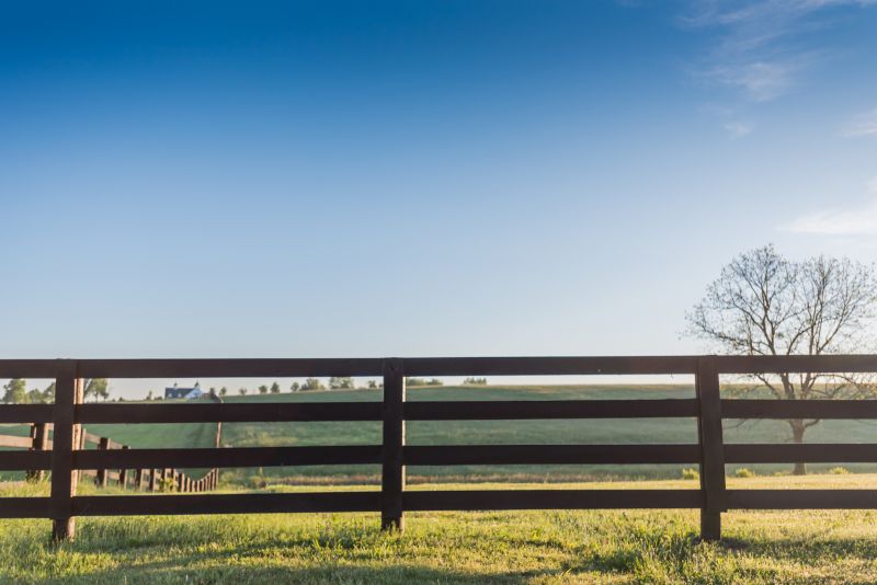 Fence detail