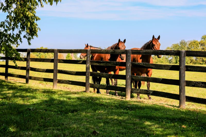 Horse Fence Repair